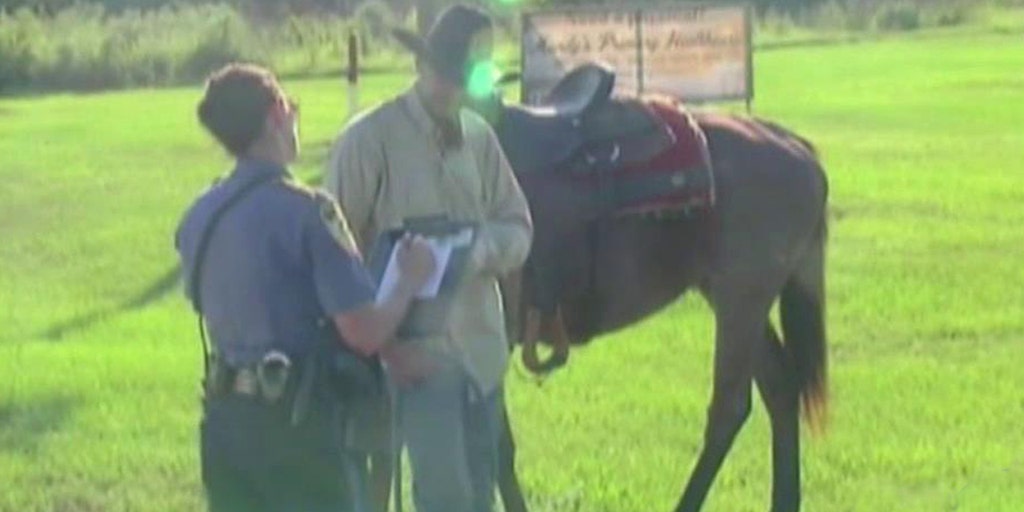 Drunk cowboy ticketed for riding horse while intoxicated Fox News Video