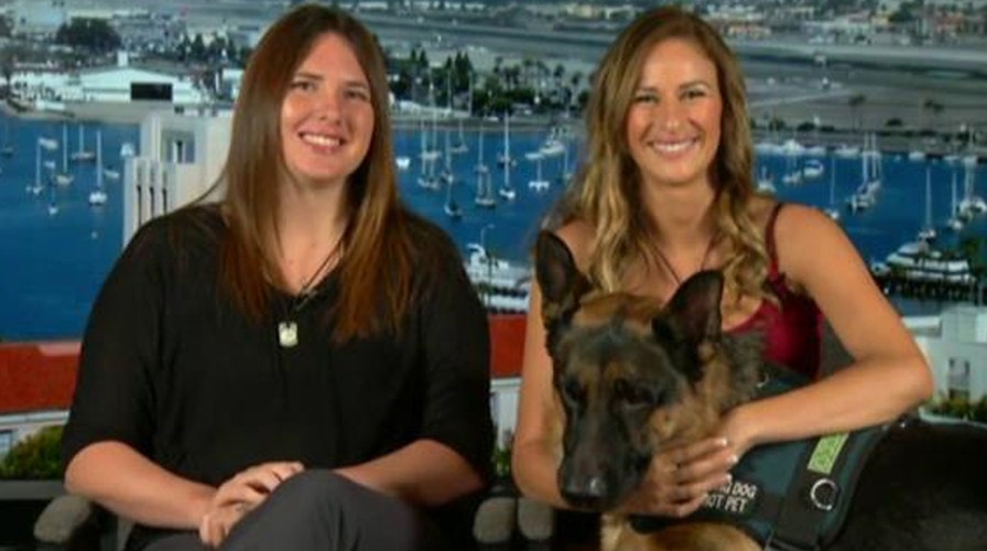 Veteran finds service dog missing for 9 months