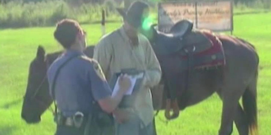 Man ticketed for riding horse while intoxicated Fox News Video