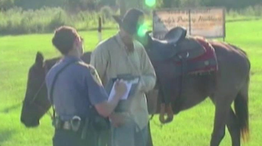 Man ticketed for riding horse while intoxicated