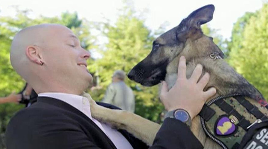 Airline stops veteran, service dog from boarding flight