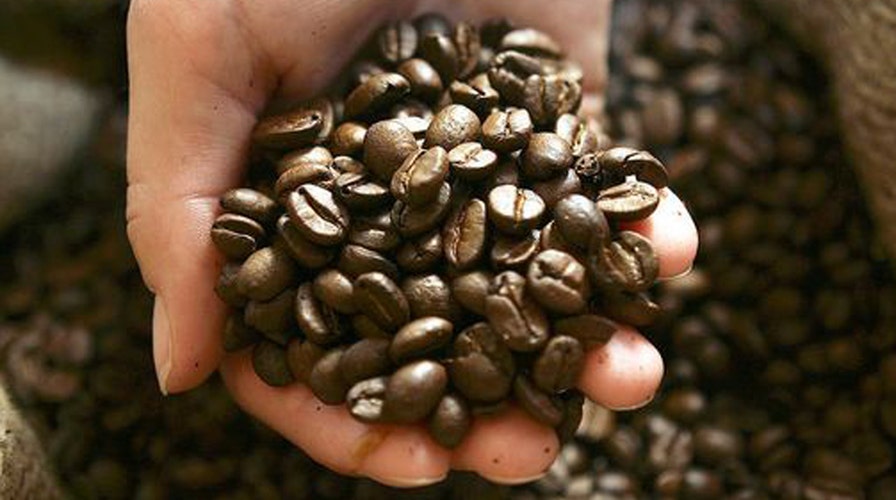 Fox Flash: National Coffee Day!