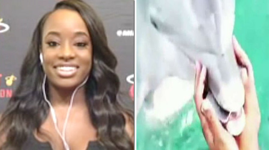 Dolphin to dancer: You dropped your phone