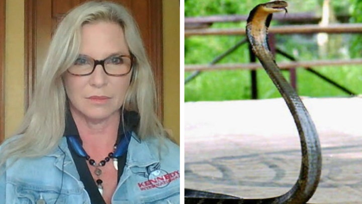 Reality star's missing king cobra found in Florida