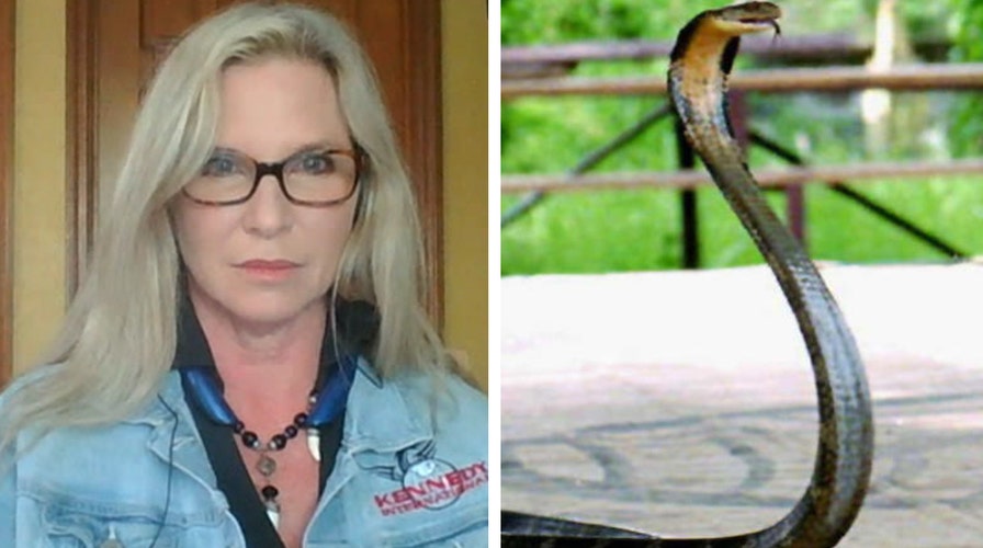Reality star's missing king cobra found in Florida
