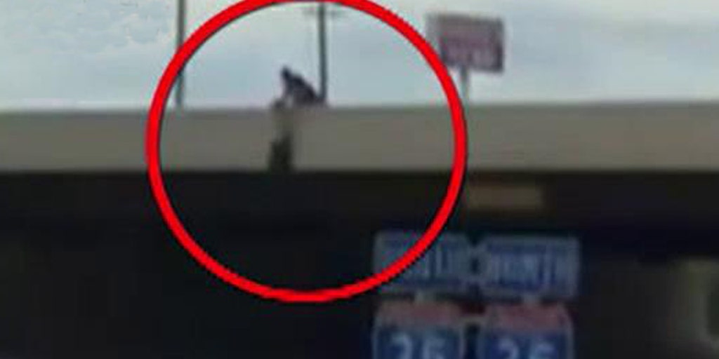 Incredible video Officer risks life to save bridge jumper Fox News Video