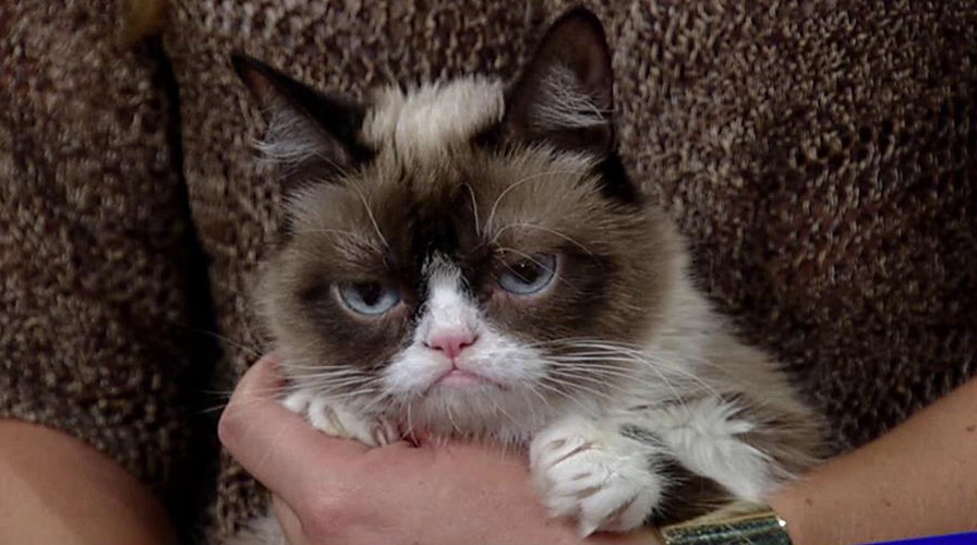 Grumpy Cat teaches how to be a 'No-It-All' in new book