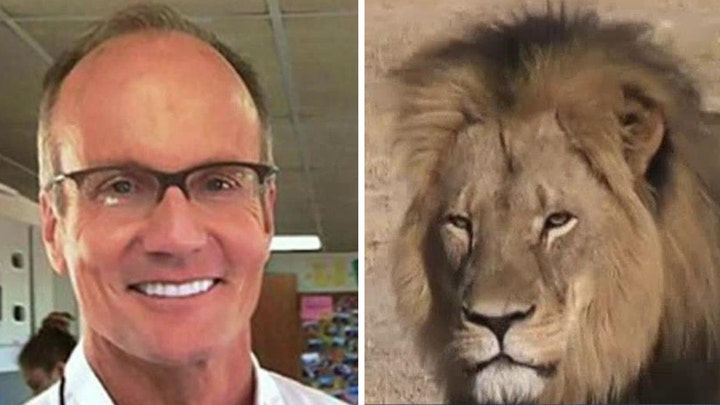 No charges for dentist who killed Cecil the lion