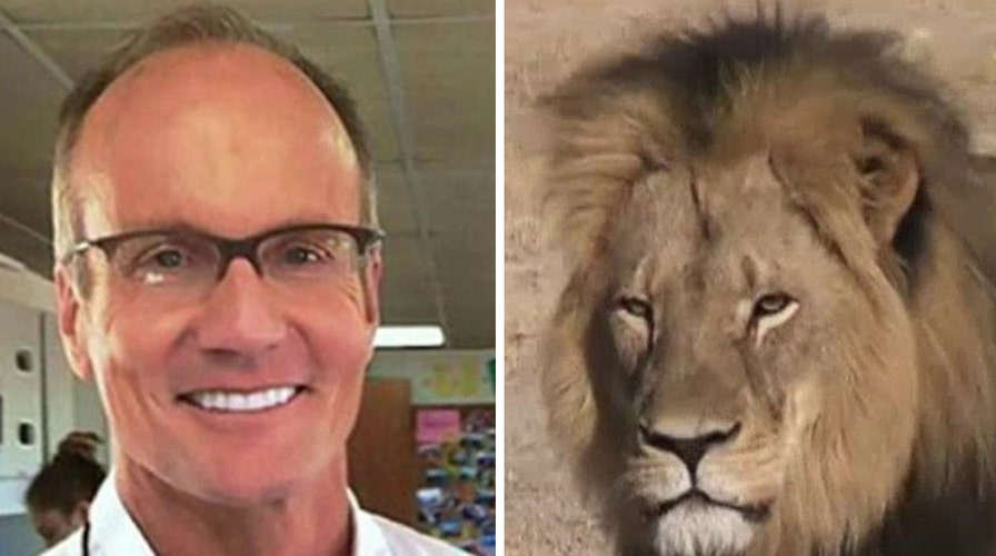 No charges for dentist who killed Cecil the lion