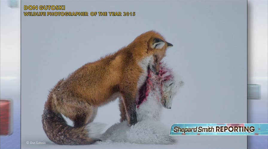 101415_wildlife