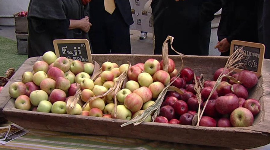 Preparing for apple picking and making the perfect apple pie