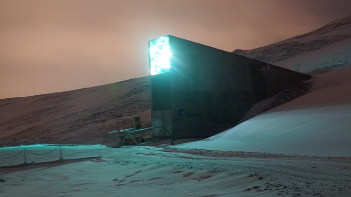 Syrian war prompts withdrawal of seeds from doomsday vault