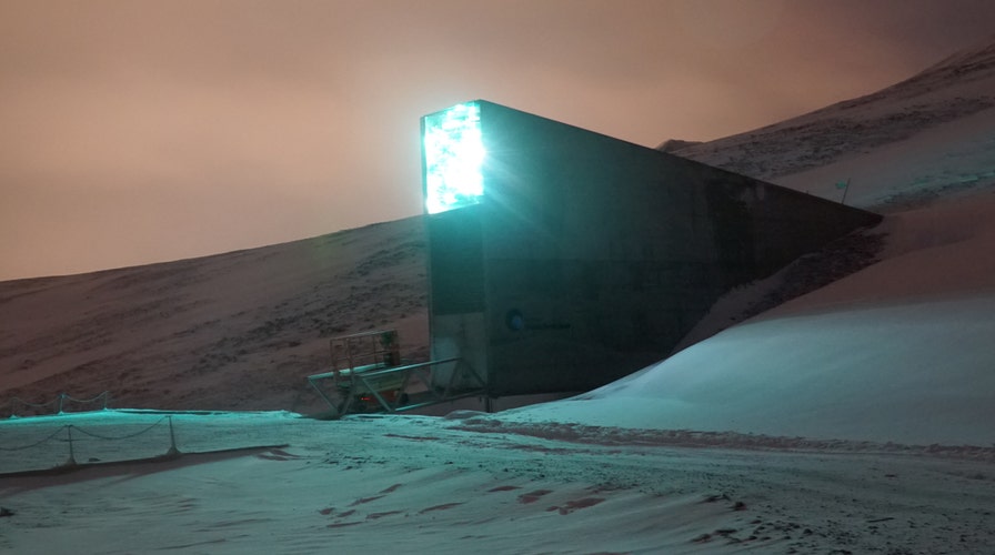 Syrian war prompts withdrawal of seeds from doomsday vault