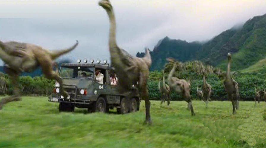 Bring a dinosaur home