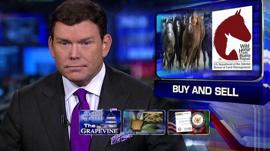 Grapevine: Uncle Sam sold animals he was charged to protect
