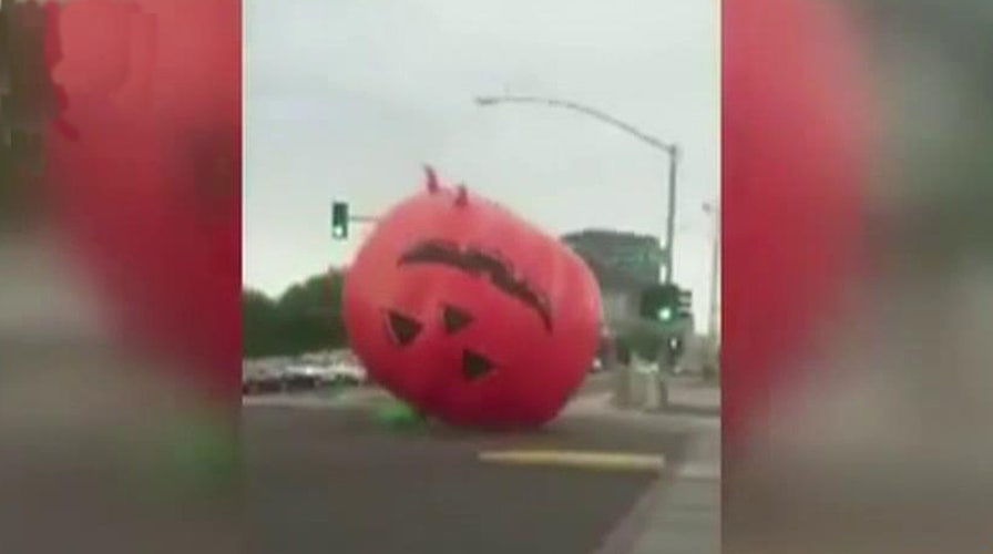 Massive inflatable pumpkin terrorizes town