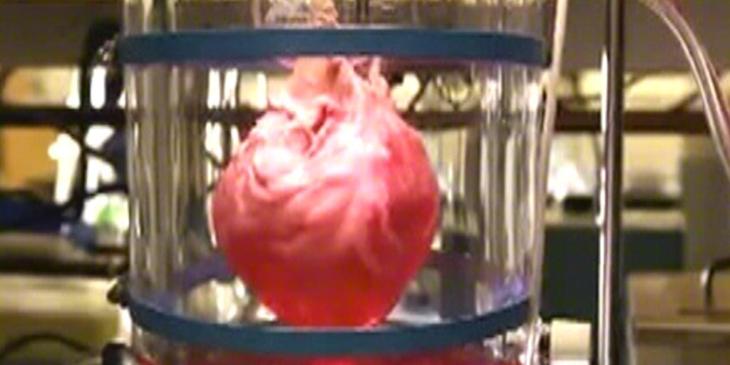 New series investigates cutting edge of science, technology Fox News