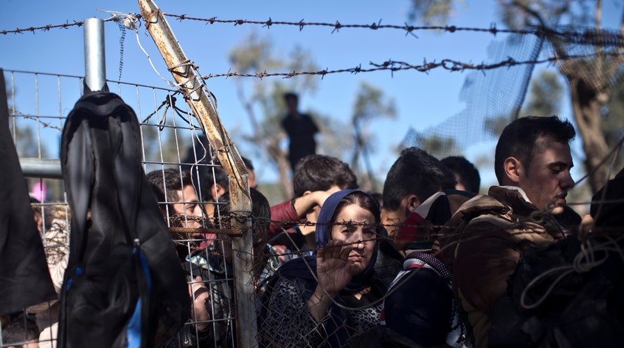 House Republicans move to 'pause' Syrian refugee plan 