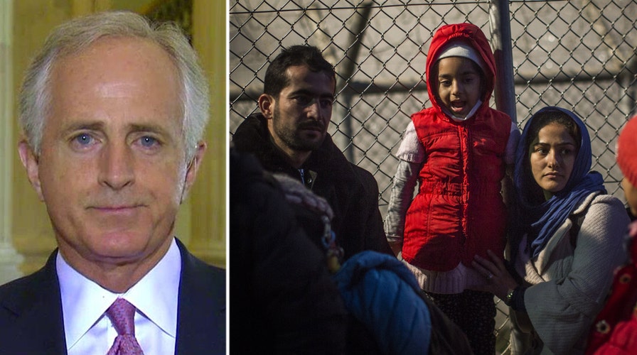 Corker: Syrian refugee program is a 'bipartisan concern'