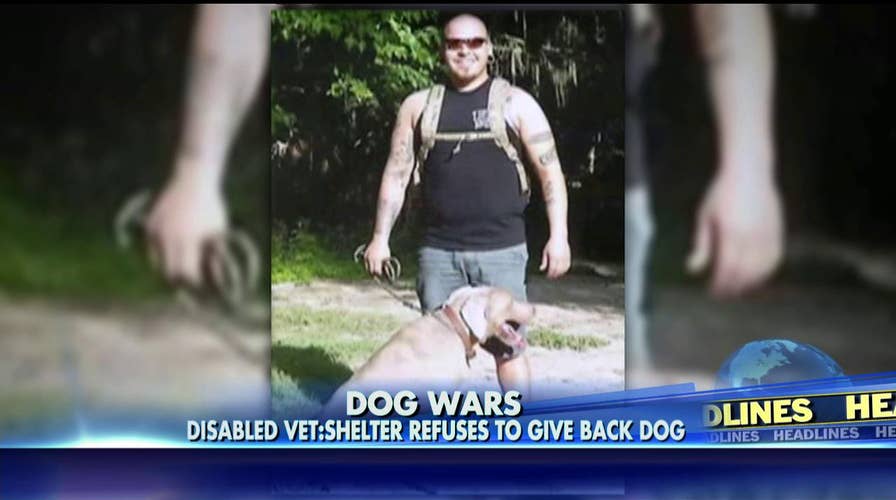 112115_vetdog