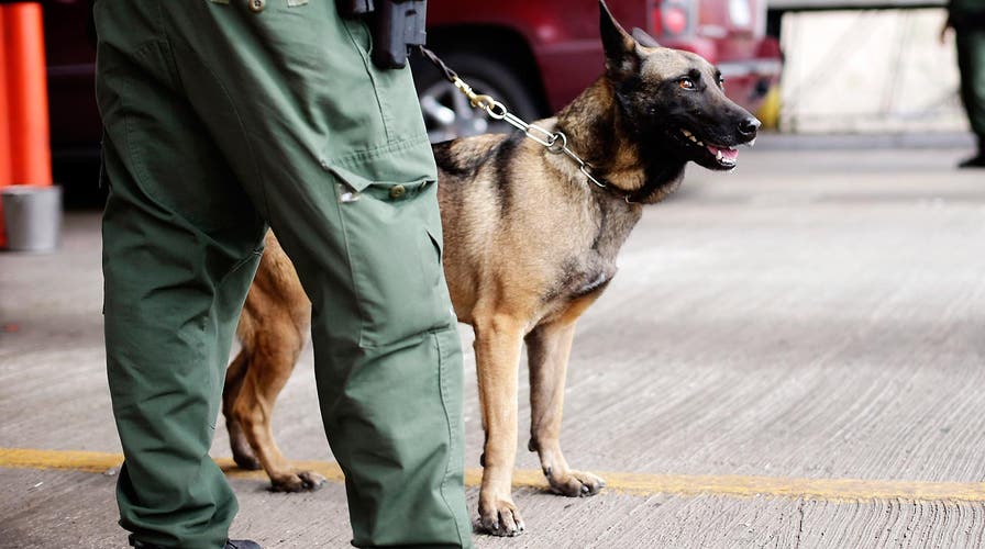What abilities do security dogs have to prevent attacks?