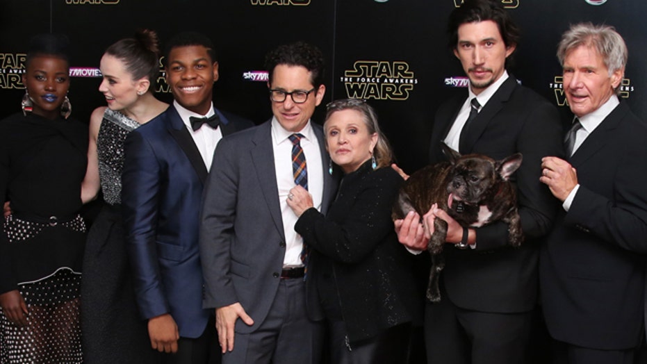 In The Foxlight The Cast Of Star Wars The Force Awakens Are
