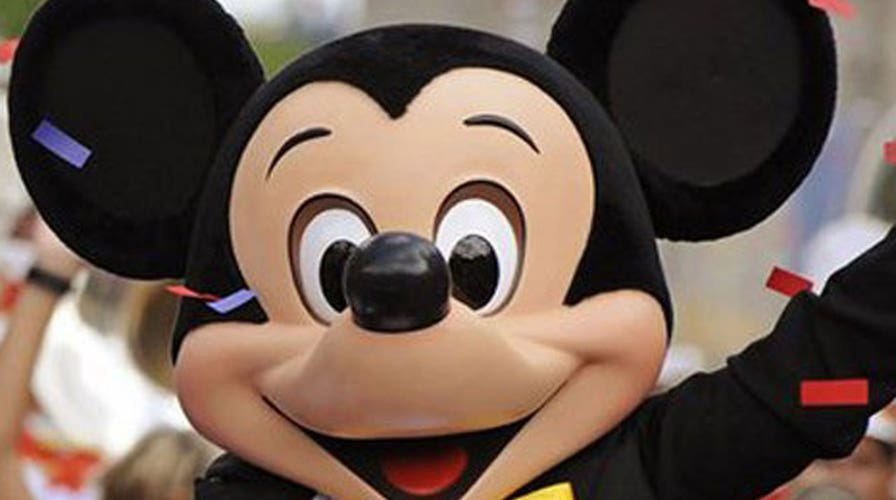 Metal detectors at the House of Mouse?