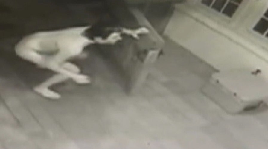 Naked, Reagan mask-wearing creeper peeks in on reality star