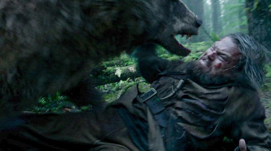 Is 'The Revenant' worth your box office dollars? 