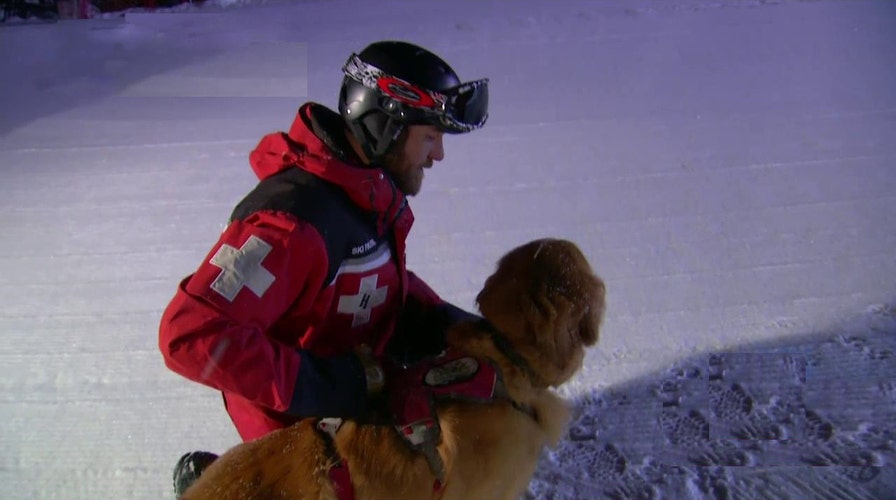 How rescuers located people trapped in avalanches