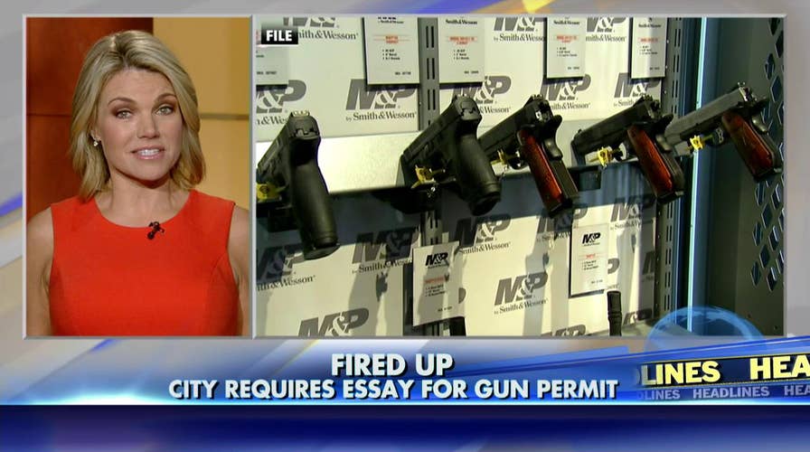 Essay now required to get gun permit