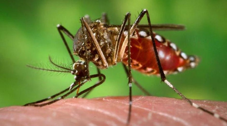 Growing concern over Zika virus