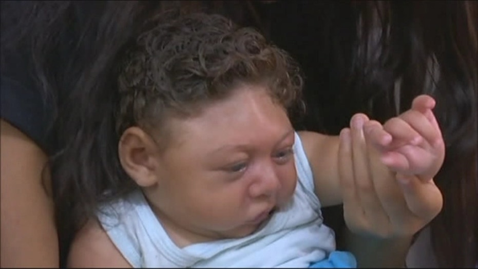 Cancer Vaccine Helps Tampa Dog With Melanoma Raising Hope For Humans Fox News