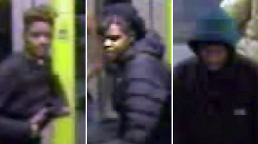 Persons of interest in brutal attack on vet sought by police