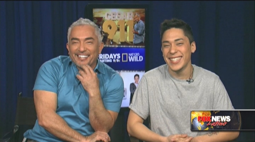 Talking pets with Cesar Millan and his son