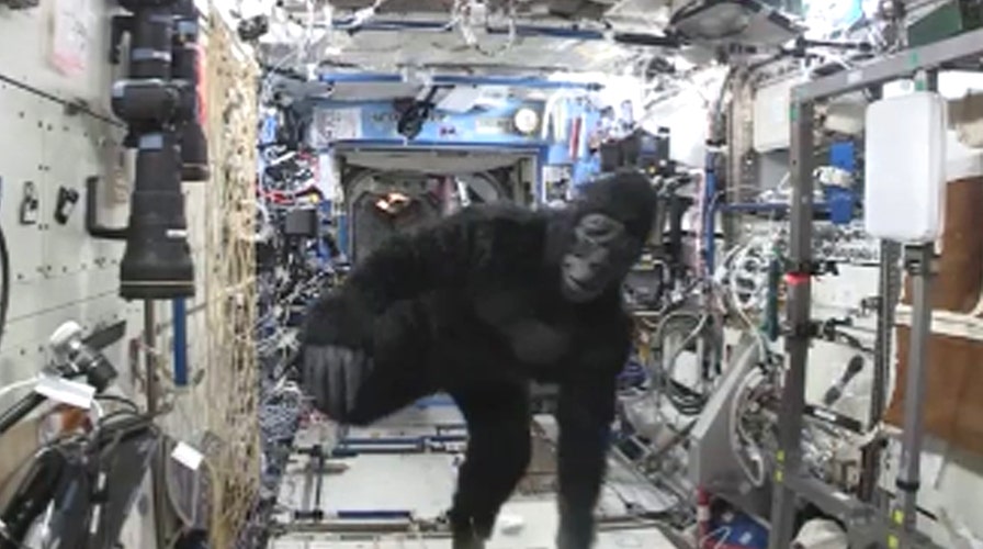 Astronauts monkey around on International Space Station