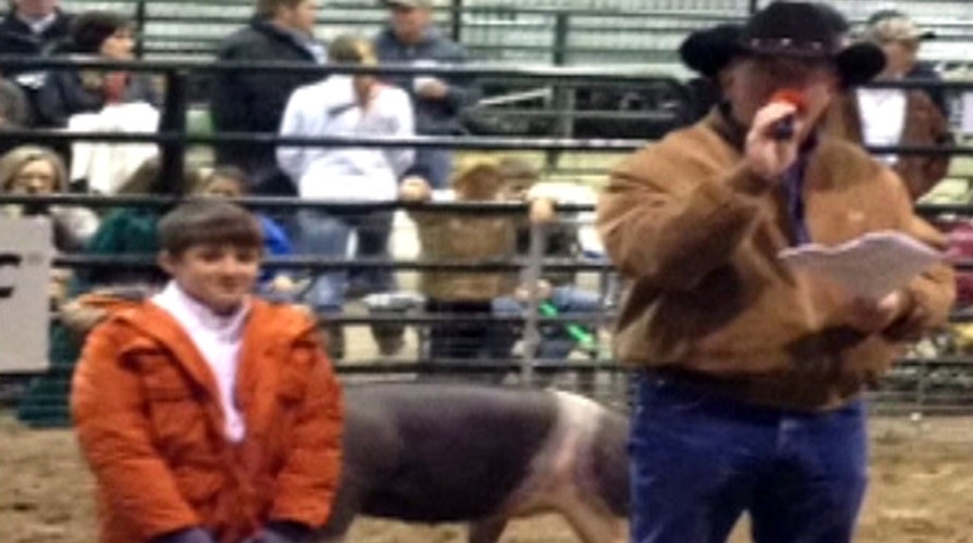 Why is this pig worth $47,000?