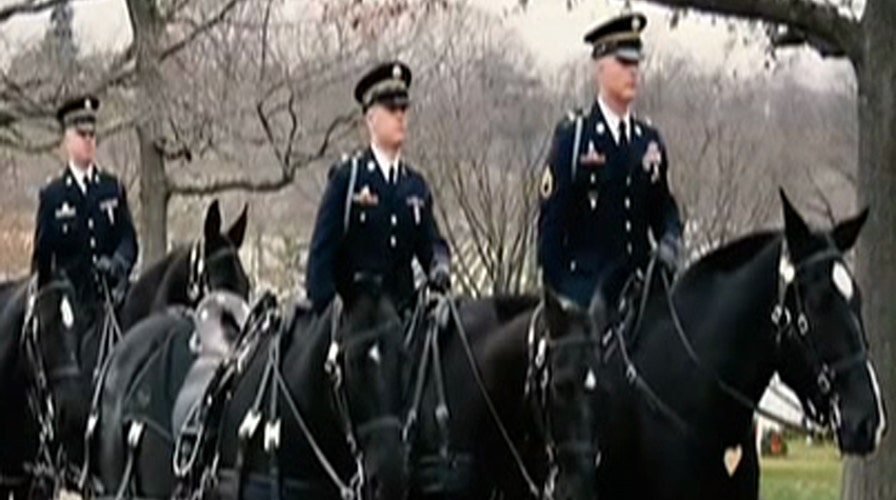 Fox Flash: Caisson platoon horses