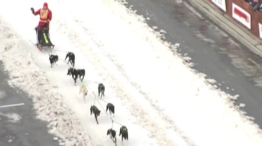 Lack of snow threatens iconic Iditarod dog sled race