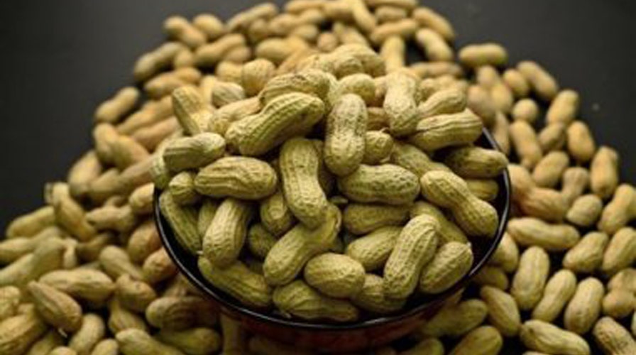 Helping sufferers overcome peanut allergies