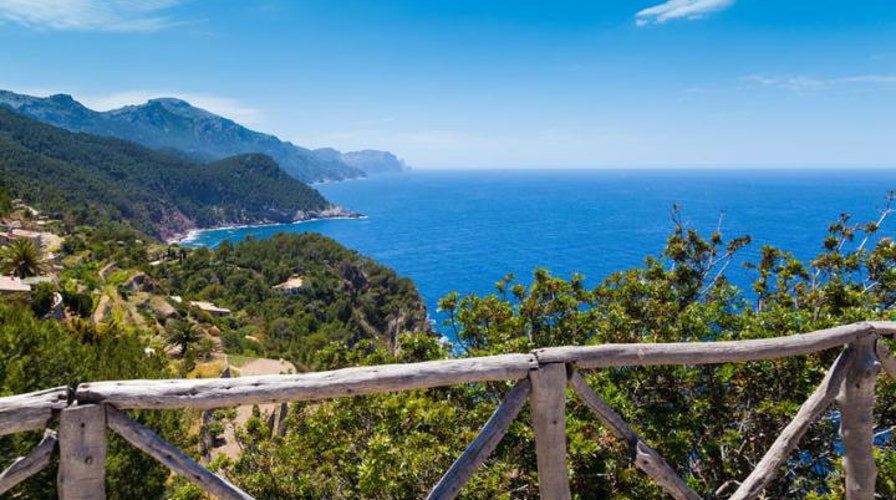 After the Show Show: Summer paradise