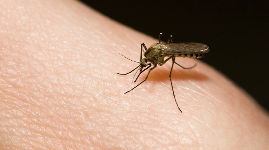 Natural ways to ward off Zika