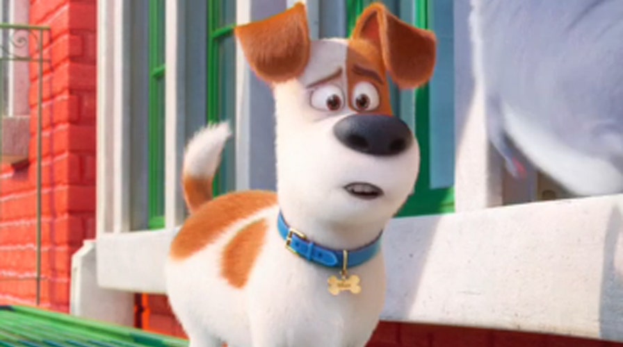 'The Secret Life of Pets' leads this week's new releases