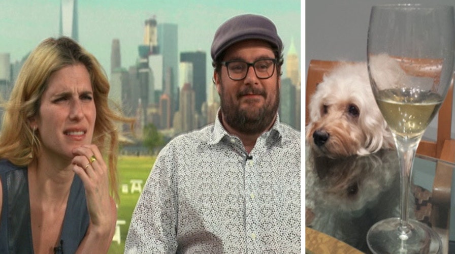 'Secret Life of Pets' cast says what real pets are thinking
