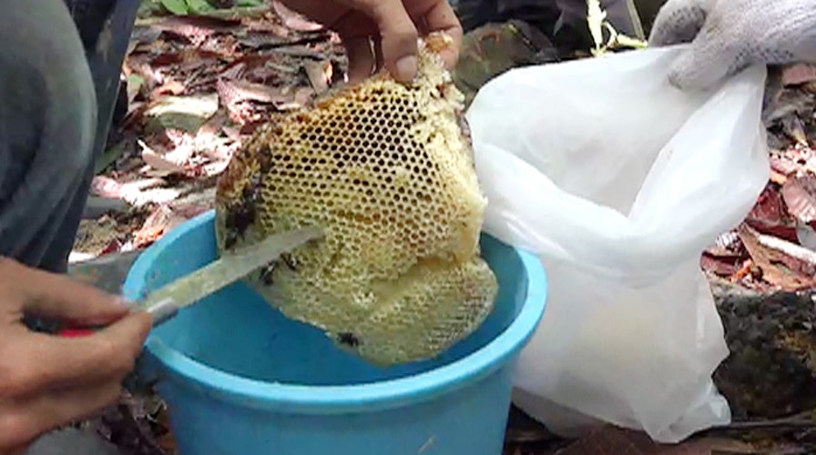 A rare honey packs big benefits