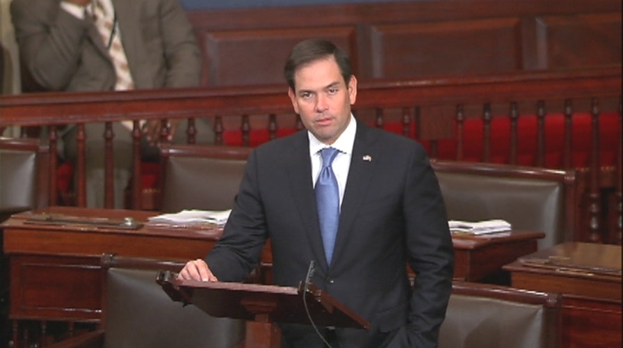 Sen. Rubio honors Marlins pitcher Jose Fernandez