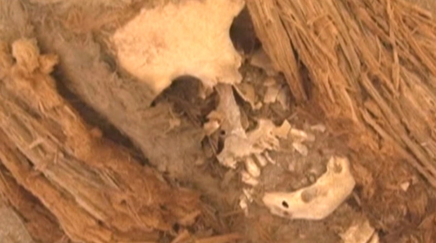 Gooey situation in Chile: Oldest mummies in world melting