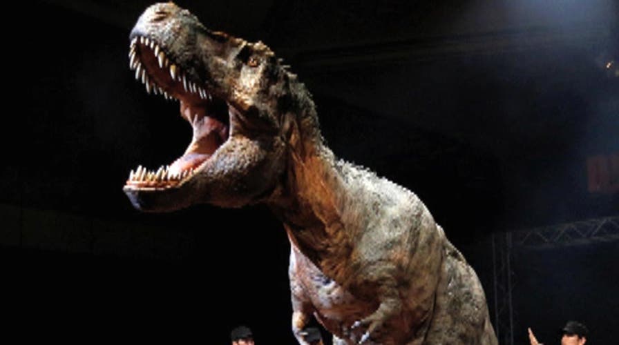 Japan creates real-life 'Jurassic Park'