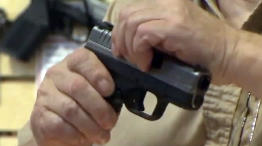 Proposed bill eases burden of cross-state travel with guns