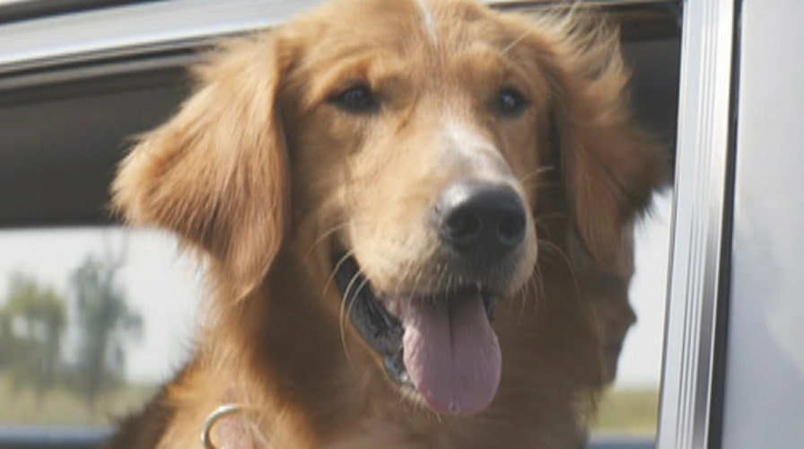 New movies take aim at box office's top spot